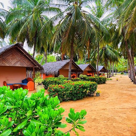 Roshanne Beach Resort Калпития Екстериор снимка