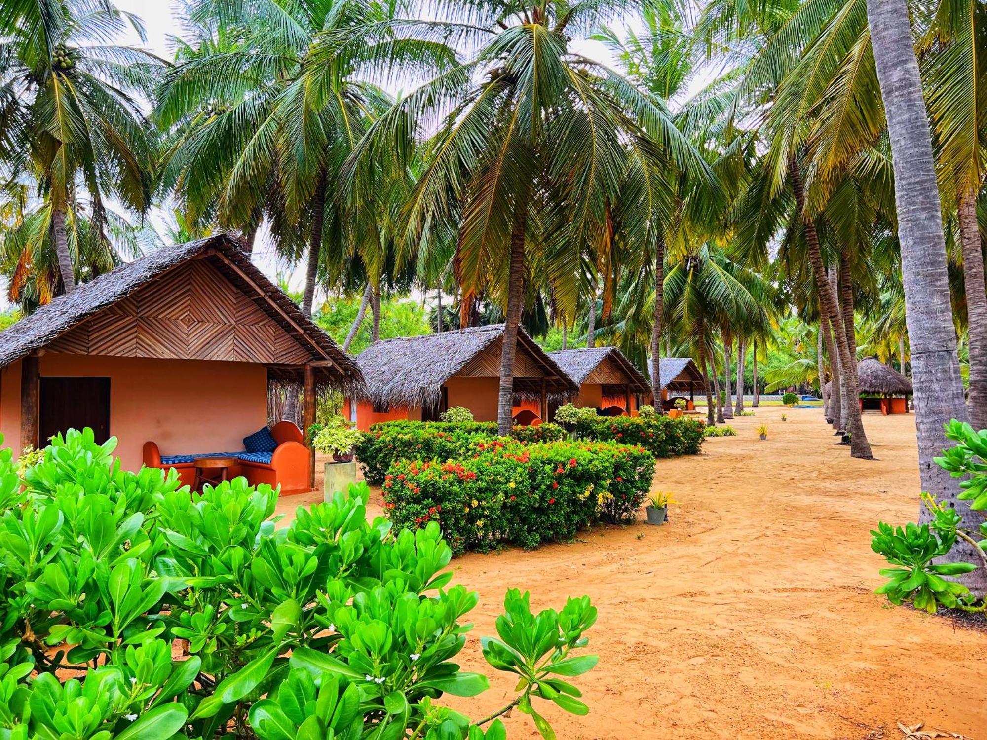 Roshanne Beach Resort Калпития Екстериор снимка