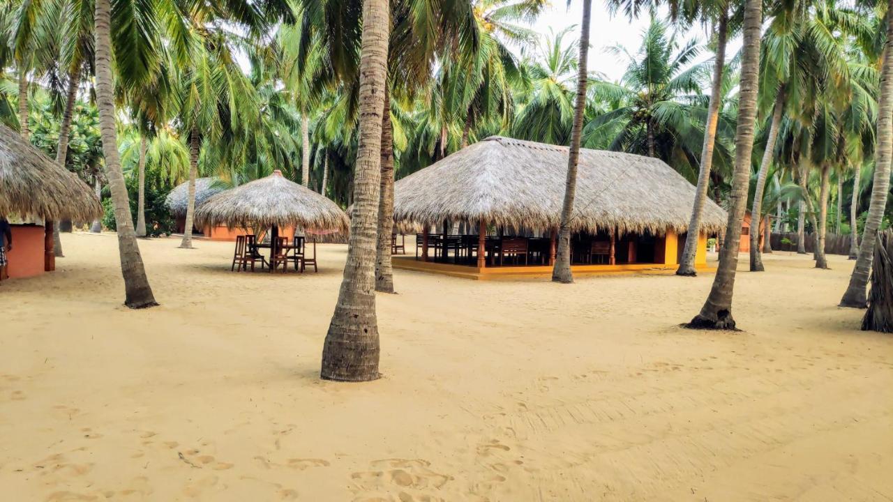 Roshanne Beach Resort Калпития Екстериор снимка