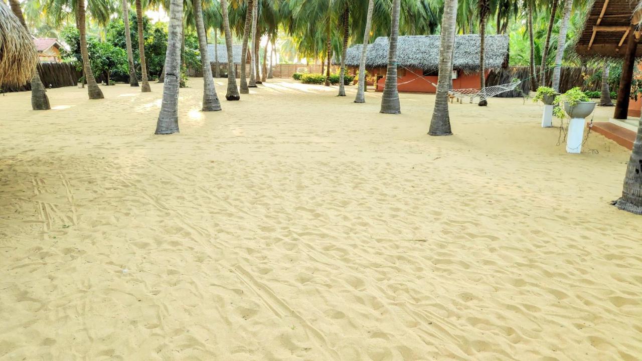 Roshanne Beach Resort Калпития Екстериор снимка