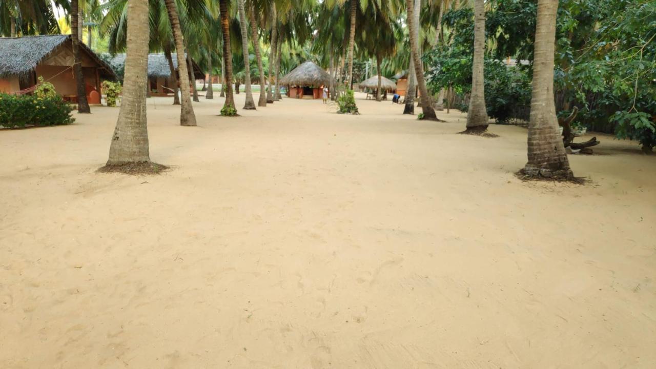 Roshanne Beach Resort Калпития Екстериор снимка