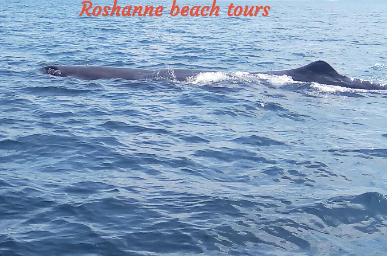 Roshanne Beach Resort Калпития Екстериор снимка