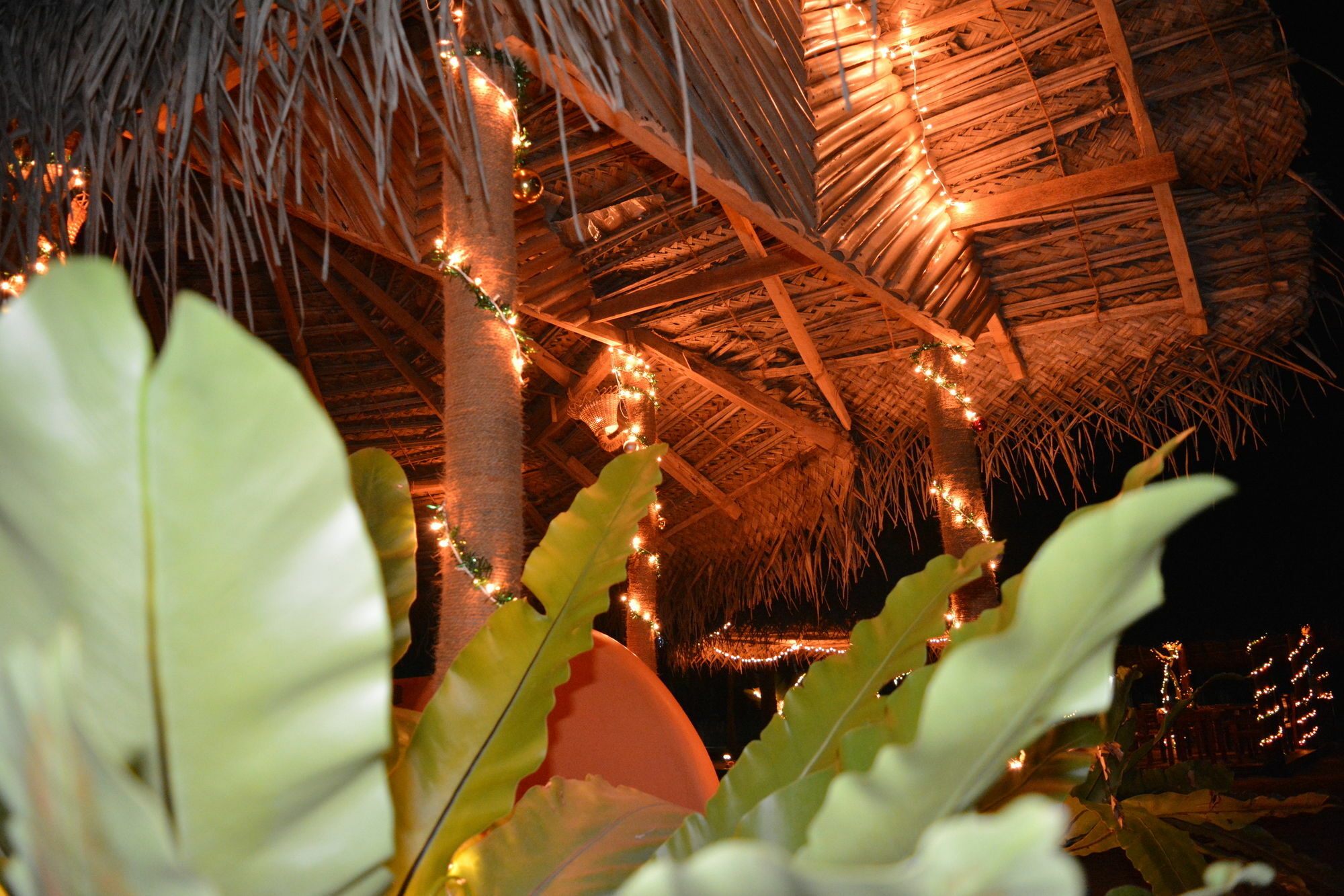 Roshanne Beach Resort Калпития Екстериор снимка
